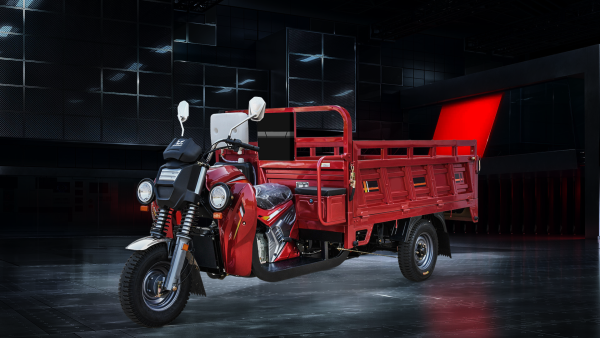 electric trike for adults